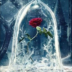 Meet your Posher, Lizbeth